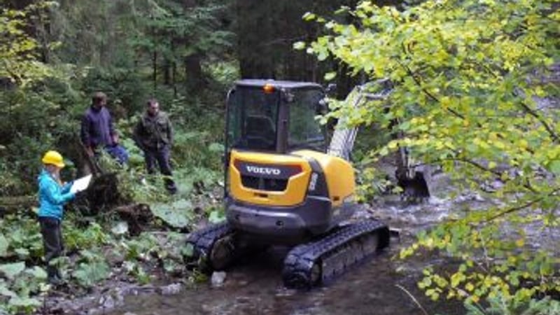 Biologické dozory a transfery