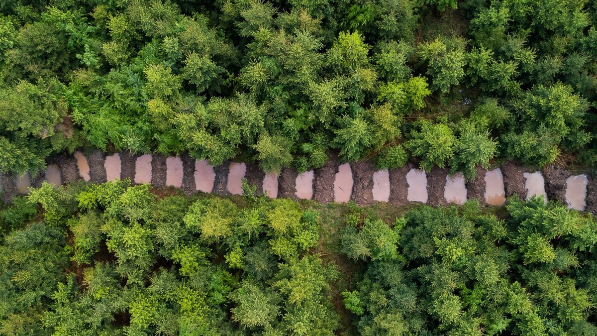 AQUA TERRA INOVA background