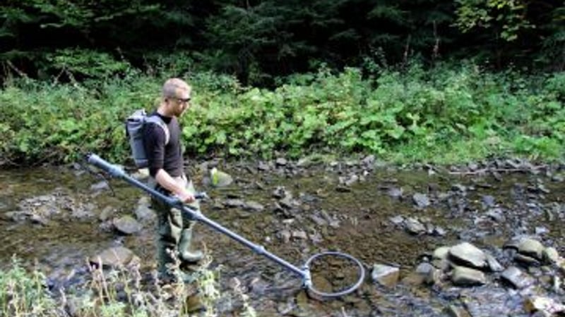 Mapování a monitoring druhů